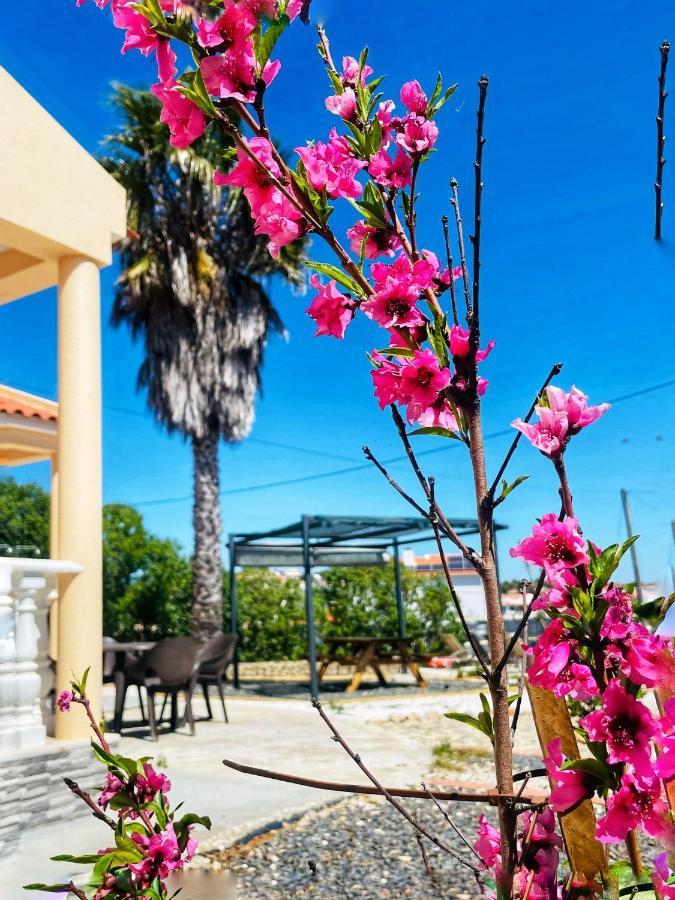 كاسترو ماريم Guesthouse Monte Francisco Baanswy - 3 Quartos - Piscina Privada المظهر الخارجي الصورة